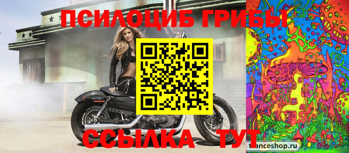 Галлюциногенные грибы Psilocybe Мариинск